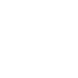 Healthmark Foot & Ankle Associates logo