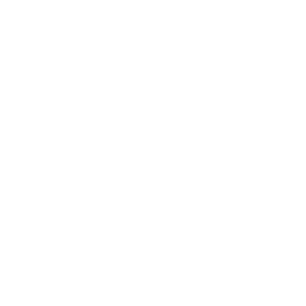 Healthmark Foot & Ankle Associates logo